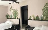 Туры в отель Hotel Calli Quetzalcoatl