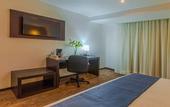 Туры в отель Hotel Zenith
