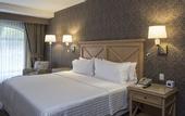Туры в отель Holiday Inn Express Queretaro by IHG
