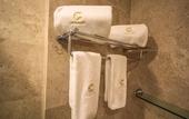 Туры в отель Comfort Inn Queretaro Tecnologico
