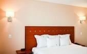 Туры в отель Comfort Inn Queretaro Tecnologico