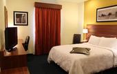 Туры в отель Hampton Inn by Hilton San Juan del Rio