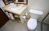 Туры в отель Hampton Inn by Hilton San Juan del Rio