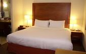 Туры в отель Staybridge Suites Queretaro by IHG