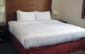 Туры в отель Staybridge Suites Queretaro by IHG