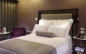 Туры в отель HS HOTSSON Hotel Queretaro