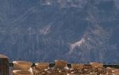 Туры в отель Hotel El Mirador by Balderrama Hotel Collection