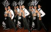 Туры в отель Hotel Fiesta Mexicana