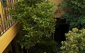 Туры в отель Villa Mirasol Hotel