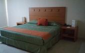 Туры в отель Balaju Hotel & Suites