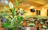 Туры в отель Hotel Mision Orizaba