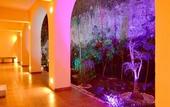 Туры в отель Hotel Mision Orizaba
