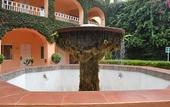 Туры в отель Hotel Mision Orizaba