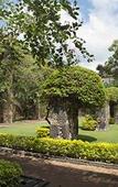 Туры в отель Fiesta Americana Hacienda San Antonio el Puente Resort & Spa