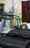 Туры в отель Racquet Cuernavaca