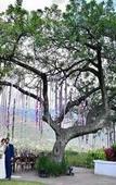 Туры в отель Posada del Tepozteco - Hotel & Gallery