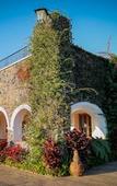 Туры в отель Posada del Tepozteco - Hotel & Gallery