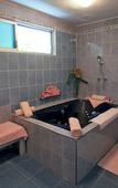 Туры в отель Hotel y Restaurante Villa Bejar Tequesquitengo