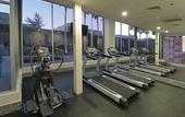Туры в отель Holiday Inn Express & Suites Hermosillo by IHG