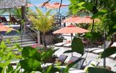 Туры в отель Hotel Aura del Mar