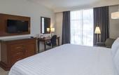 Туры в отель Holiday Inn Tuxtla Gutierrez by IHG
