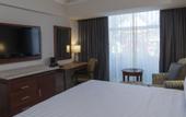 Туры в отель Holiday Inn Tuxtla Gutierrez by IHG
