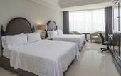 Туры в отель Holiday Inn Tuxtla Gutierrez by IHG