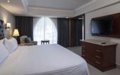 Туры в отель Holiday Inn Tuxtla Gutierrez by IHG