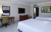 Туры в отель Holiday Inn Tuxtla Gutierrez by IHG