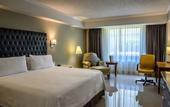 Туры в отель Holiday Inn Tuxtla Gutierrez by IHG