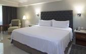 Туры в отель Holiday Inn Tuxtla Gutierrez by IHG