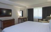 Туры в отель Holiday Inn Tuxtla Gutierrez by IHG