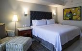 Туры в отель Holiday Inn Tuxtla Gutierrez by IHG