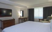 Туры в отель Holiday Inn Tuxtla Gutierrez by IHG