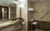 Туры в отель Holiday Inn Tuxtla Gutierrez by IHG