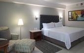Туры в отель Holiday Inn Tuxtla Gutierrez by IHG