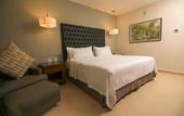 Туры в отель Holiday Inn Tuxtla Gutierrez by IHG