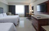 Туры в отель Holiday Inn Tuxtla Gutierrez by IHG