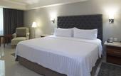 Туры в отель Holiday Inn Tuxtla Gutierrez by IHG