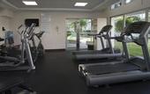 Туры в отель Holiday Inn Tuxtla Gutierrez by IHG