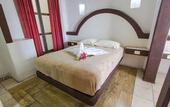 Туры в отель Hotel Plaza Morelia