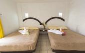 Туры в отель Hotel Plaza Morelia