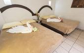 Туры в отель Hotel Plaza Morelia