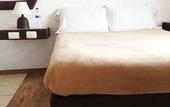 Туры в отель Hotel Plaza Morelia