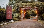 Туры в отель Hotel Avandaro Golf And Spa