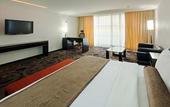 Туры в отель Crowne Plaza Toluca Lancaster by IHG