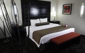 Туры в отель Crowne Plaza Toluca Lancaster by IHG