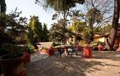 Туры в отель Loto Azul Resort and Spa