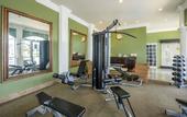 Туры в отель Quinta Eden Villahermosa