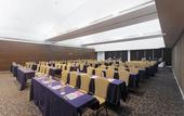 Туры в отель Crowne Plaza Villahermosa by IHG